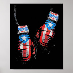 Póster Bandera Americana Boxing Usa Glove Gym Boxer Fitne