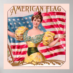 Póster Bandera Americana Dama Libertad Independencia