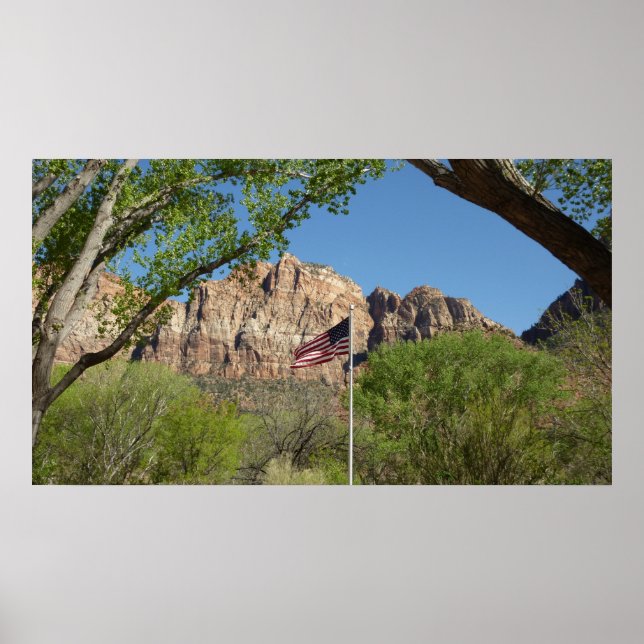 Póster Bandera Americana en Zion National Park II (Frente)