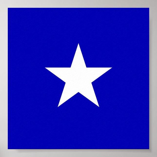 Póster Bandera azul Bonnie (Frente)