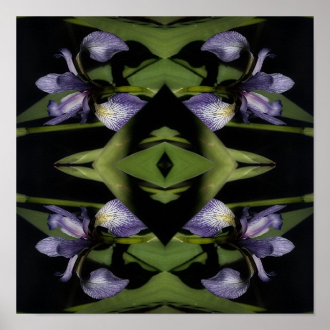 Póster Bandera Azul Flor Iris Resumen (Frente)
