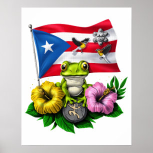 Póster Bandera boricua de Puerto Rico