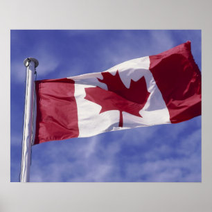 Póster bandera canadiense