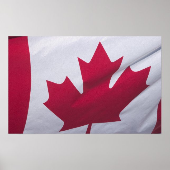 Póster Bandera canadiense. (Frente)