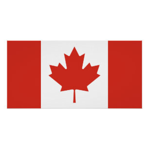 Póster Bandera canadiense patriota