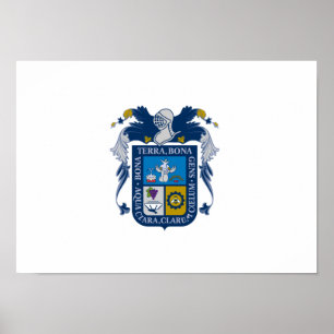 Póster Bandera de Aguascalientes