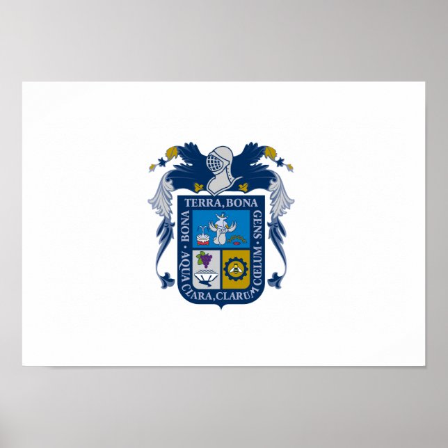 Póster Bandera de Aguascalientes (Frente)