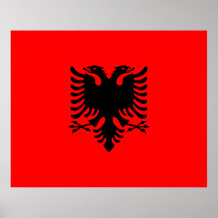 Póster Bandera de Albania