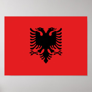 Póster Bandera de Albania - Flamuri Kombëtar - bandera