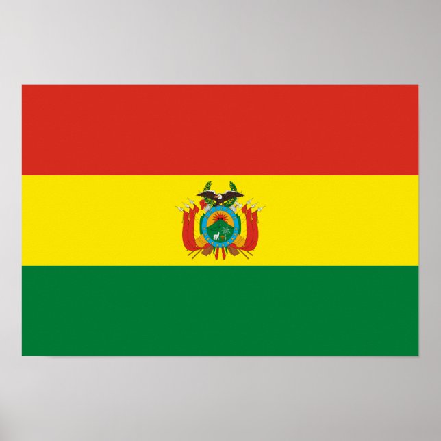 Póster Bandera de Bolivia Patriótica (Frente)