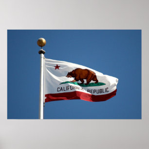 Póster bandera de California