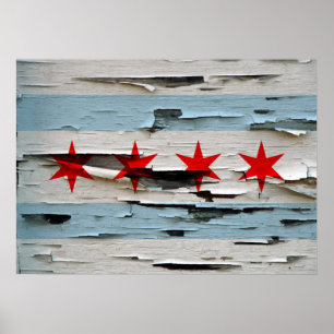 Póster Bandera de Chicago con tejado de maleza