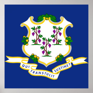 Póster bandera de Connecticut