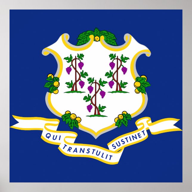 Póster bandera de Connecticut (Frente)