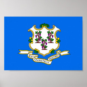 Póster Bandera de Connecticut
