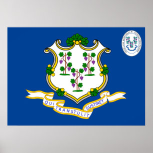 Póster Bandera de Connecticut