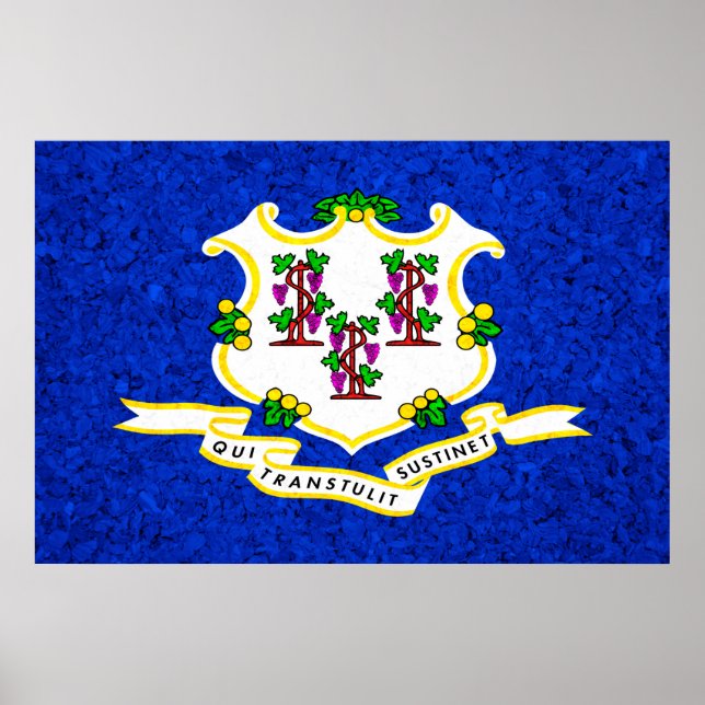 Póster Bandera de estado de conexión (Frente)