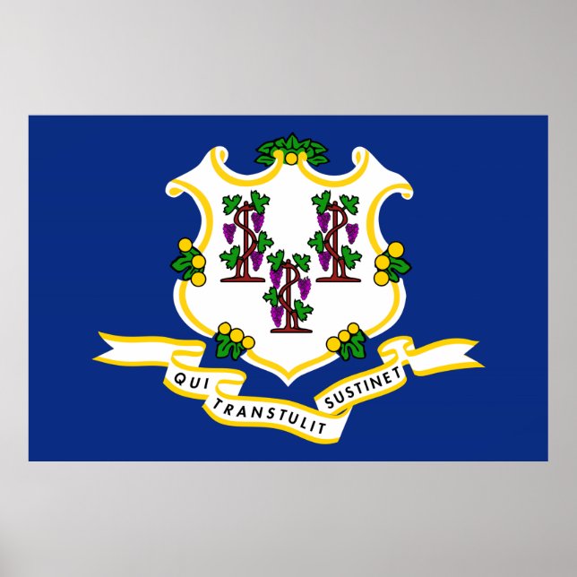 Póster Bandera de estado de Connecticut (Frente)