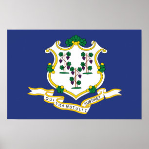 Póster Bandera de estado de Connecticut