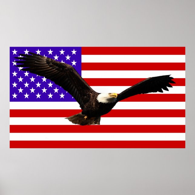 Póster Bandera de Estados Unidos Águila Calva Estados Uni (Frente)