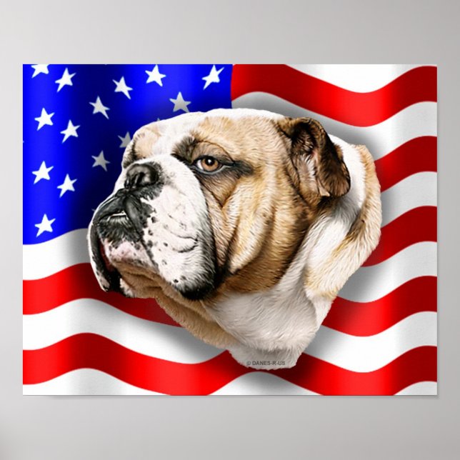 Póster Bandera de Estados Unidos Patriota de bulldog (Frente)