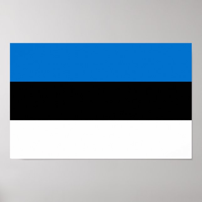 Póster Bandera de Estonia (Frente)