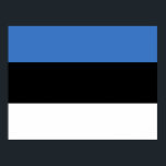 Póster Bandera de Estonia<br><div class="desc">bandera estonia,  estonia,  Tallin,  La Valeta,  escudo,  Europa,  Finlandia,  bandera,  báltico,  rústico,  viajes,  aventura,  cultura,  letonia,  animal,  anime,  cosecha,  explorar,  excursionismo,  Madre Tierra,  ambientalista,  conservación,  vida silvestre, </div>