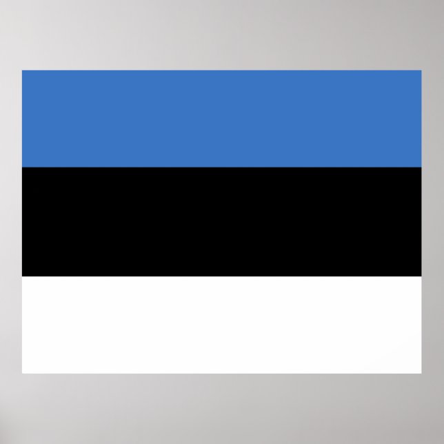 Póster Bandera de Estonia (Frente)
