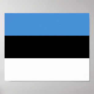 Póster Bandera de Estonia