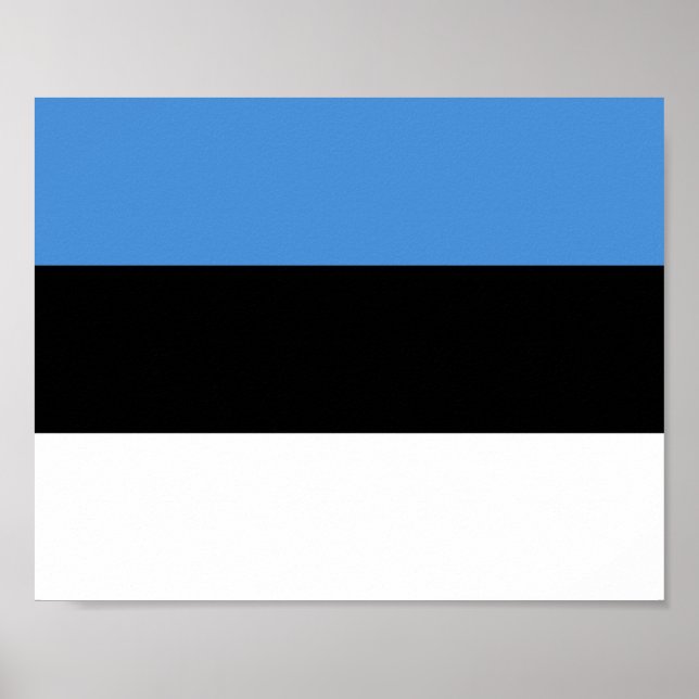 Póster Bandera de Estonia (Frente)