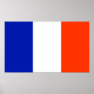 Póster bandera de francia