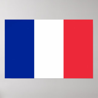 Póster Bandera de Francia Poster