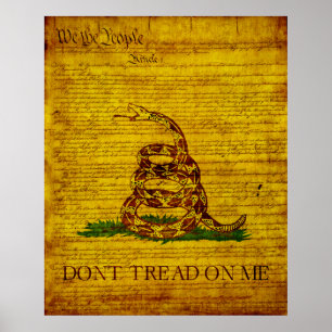 Póster Bandera de Gadsden
