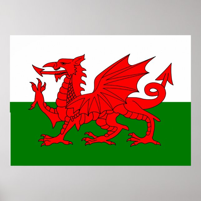 Póster Bandera de Gales dragón rojo galés (Frente)