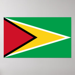 Póster Bandera de Guyana
