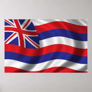 Póster Bandera de Hawái