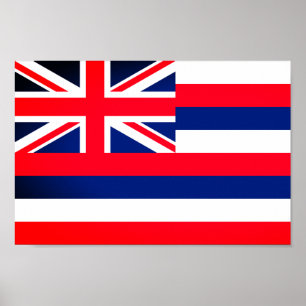 Póster Bandera de Hawai