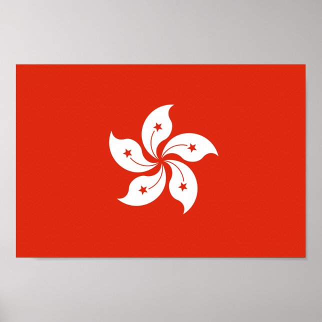 Póster Bandera de Hong Kong Bauhinia Blakeana HK (Frente)