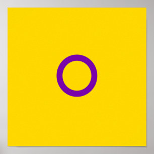 Póster Bandera de Instersex