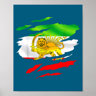 Póster Bandera de Irán Mapa León Sol Conciencia Apoyo