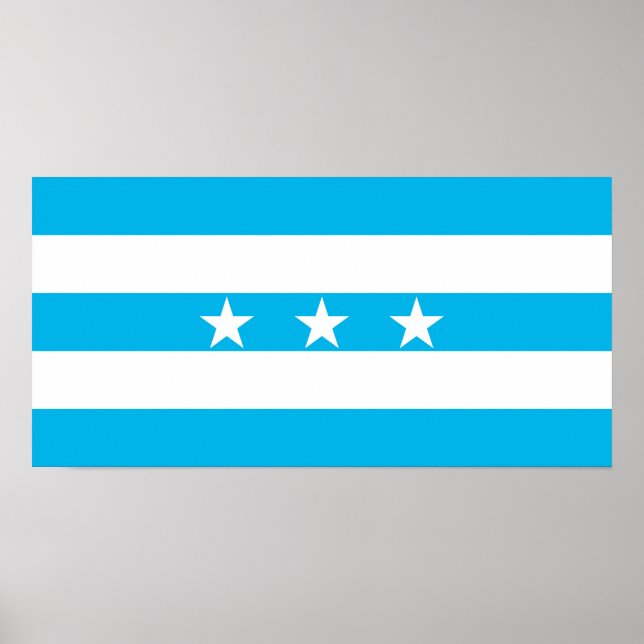Póster Bandera de la ciudad de Guayaquil símbolo de Ecuad (Frente)