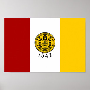 Póster Bandera de la ciudad de San Diego