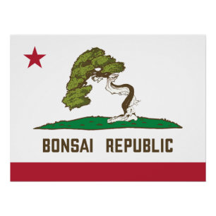 Póster Bandera de la República de Bonsai