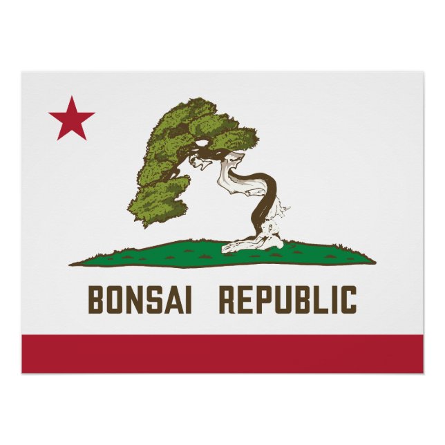 Póster Bandera de la República de Bonsai (Anverso)