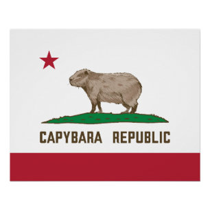 Póster Bandera de la república de Capybara