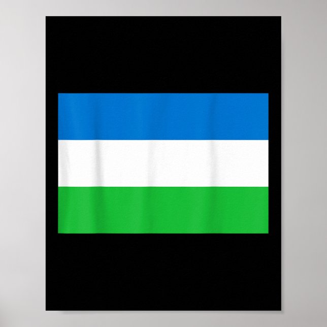Póster Bandera De La República De Molossia (Frente)