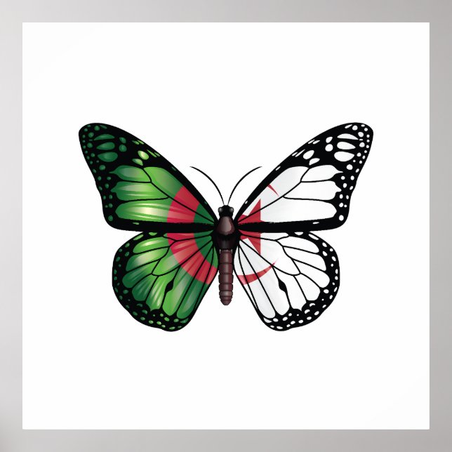 Póster Bandera de las mariposas monarcas de Argelia (Frente)