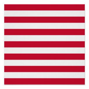 Póster Bandera de los Goes