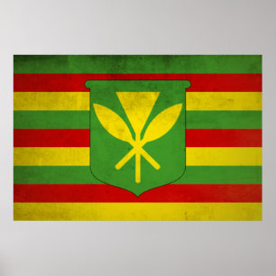 Póster Bandera de los hawaianos nativos
