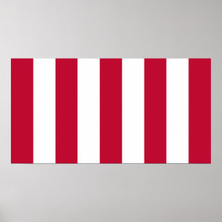 Póster Bandera de los Hijos de la Libertad de EE. UU. 9 F